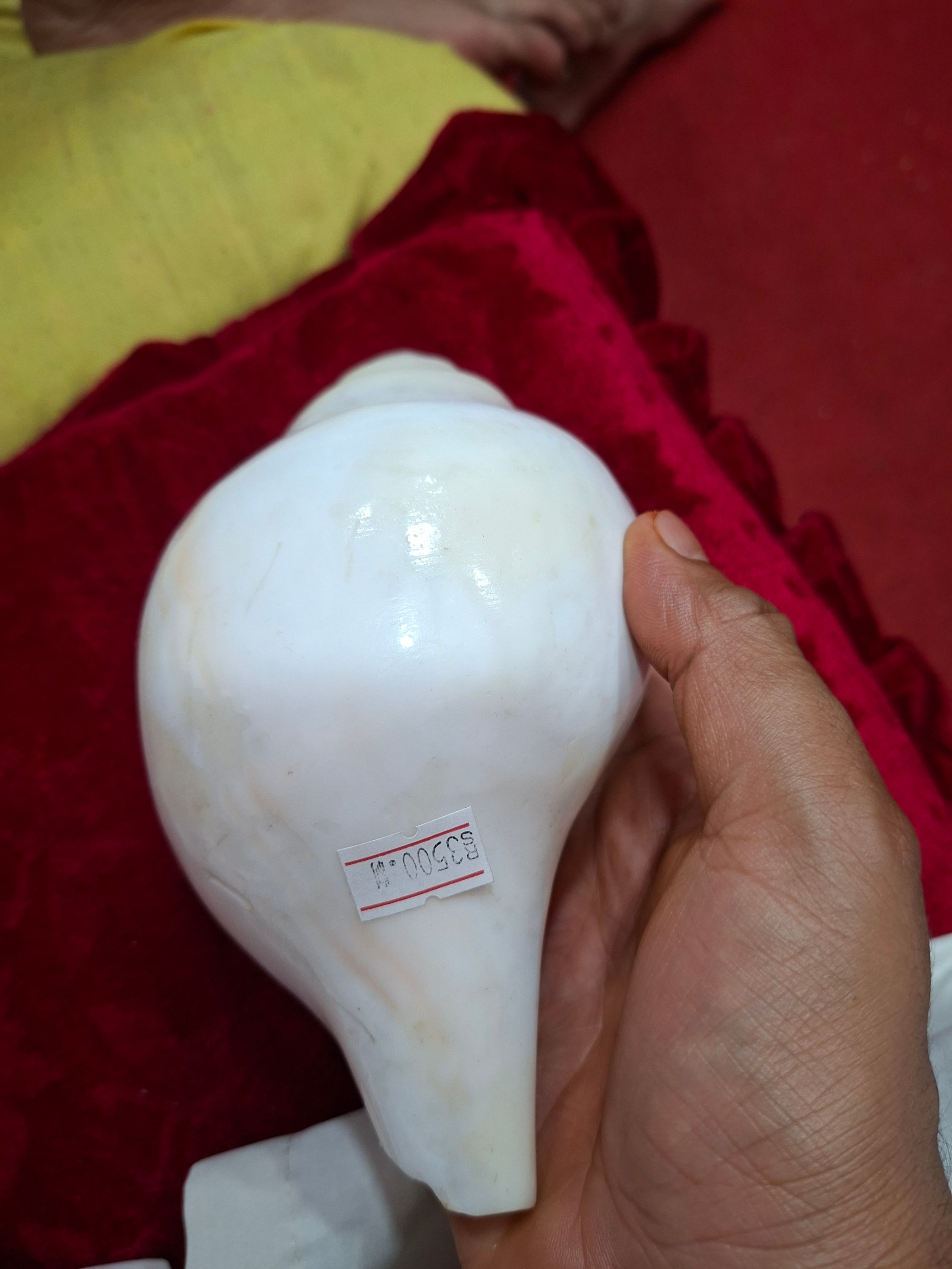 शंख (सानो) 